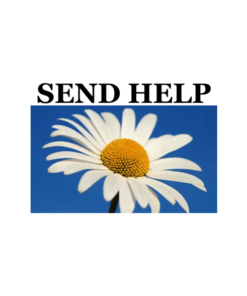 Send Help Daisy Flower T Shirt