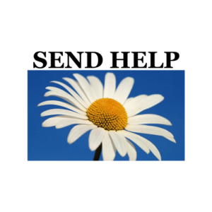 Send Help Daisy Flower T Shirt