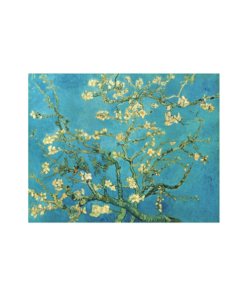 Van Gogh Aesthetic T Shirt Flower Art