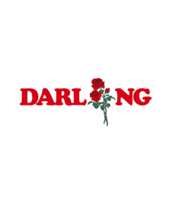 Darling Rose T Shirt