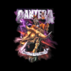Pantera Tour T Shirts Cowboys From Hell Tour 1990