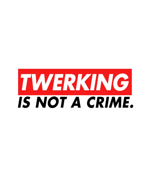 Twerking Is Not A Crime T Shirt