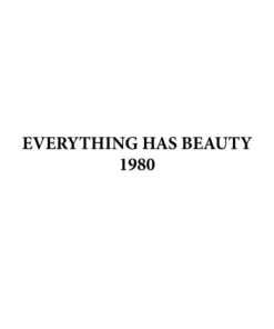Everything Has Beauty T Shirt