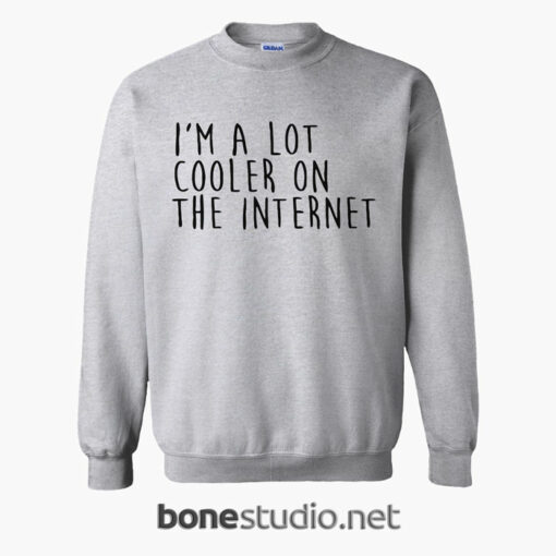 Im A Lot Cooler On The Internet Sweatshirt sport grey
