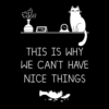 This Is Why We Can't Have Nice Things T Shirt