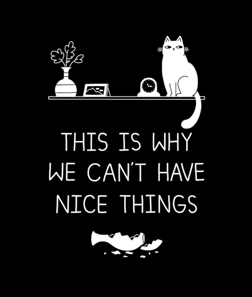 This Is Why We Can't Have Nice Things T Shirt