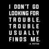 WB Harry Potter Trouble Quote T Shirt