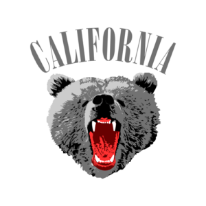 California Face Bear T Shirt