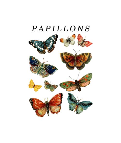 Papillons Butterfly Vintage T Shirt