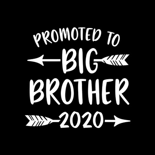 Promoted to Big Brother est 2020 Vintage Arrow T-Shirt