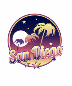 San Diego California CA intage 70s Retro Surfer T Shirt