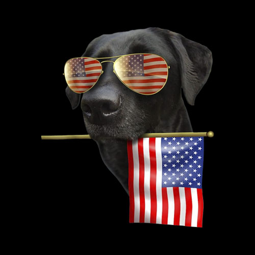 4th of July Shirt Fun American Flag Labrador Dog Lover Gift T-Shirt