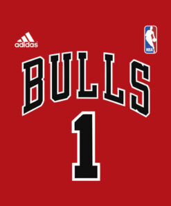 Derrick Rose Chicago Bulls T Shirt