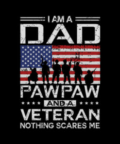I Am A Dad A Pawpaw And A Veteran T Shirt Fathers Day T-Shirt