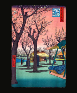 Japanese Cherry Blossom Japanese Woodblock Art Print