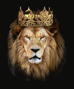 Lion Head Golden Crown Art Canvas King T shirt