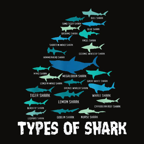 Types of Shark Megalodon Great White Nurse Shark T Shirt