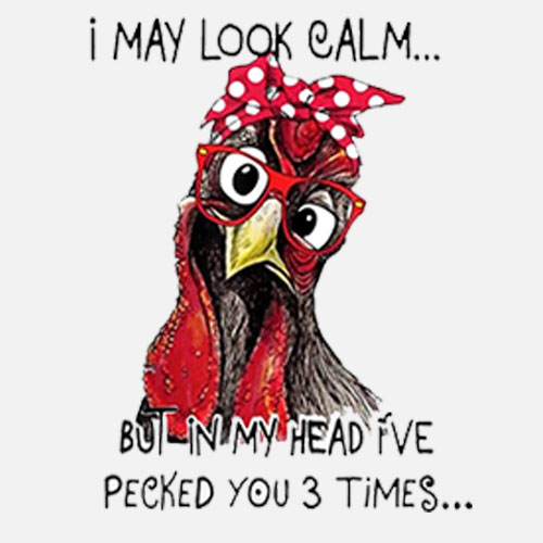 I May Look Calm But In My Head I’ve Pecked You 3 Times T Shirt