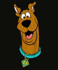 Kids Scooby Doo Big Face T Shirt