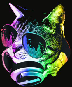Rainbow Music Cat T Shirt