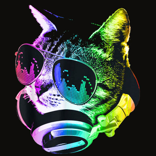 Rainbow Music Cat T Shirt
