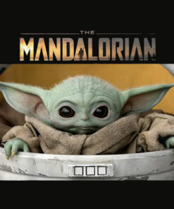 Star Wars The Mandalorian The Child Pod Screenshot Logo T Shirt