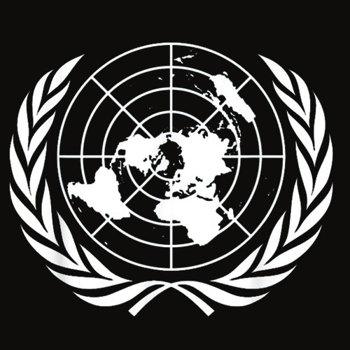 United Nations Flag T Shirt