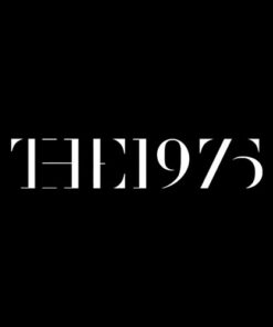 The 1975 Band T Shirt
