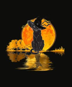 Vintage Halloween Scary Black Cat Witch Hat Moon Witchy Gift T Shirt