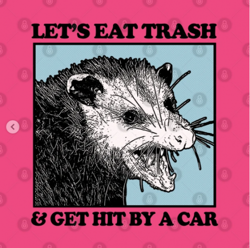 Let's Eat Trash & Get Hit By A Car T-Shirt Design