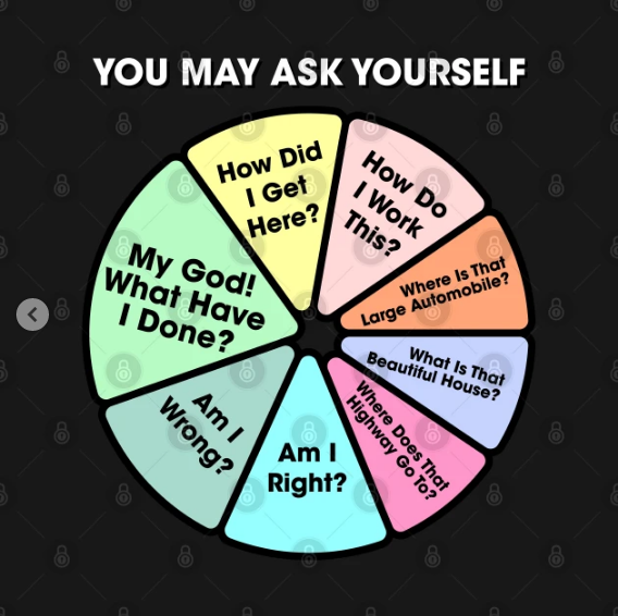 Once In A Lifetime You May Ask Yourself Pie Chart T Shirt Design