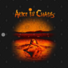 Alice in Chains - Dirt T-Shirt black design