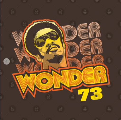Stevie Wonder T-Shirt brown design