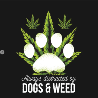 Dogs And Weed Gift Ideas Hoodie black design