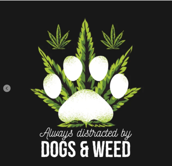Dogs And Weed Gift Ideas Hoodie black design